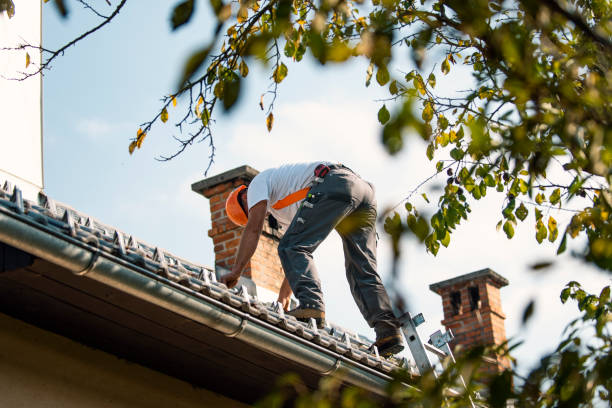 Best Roof Gutter Cleaning  in Village Of Four Seasons, MO